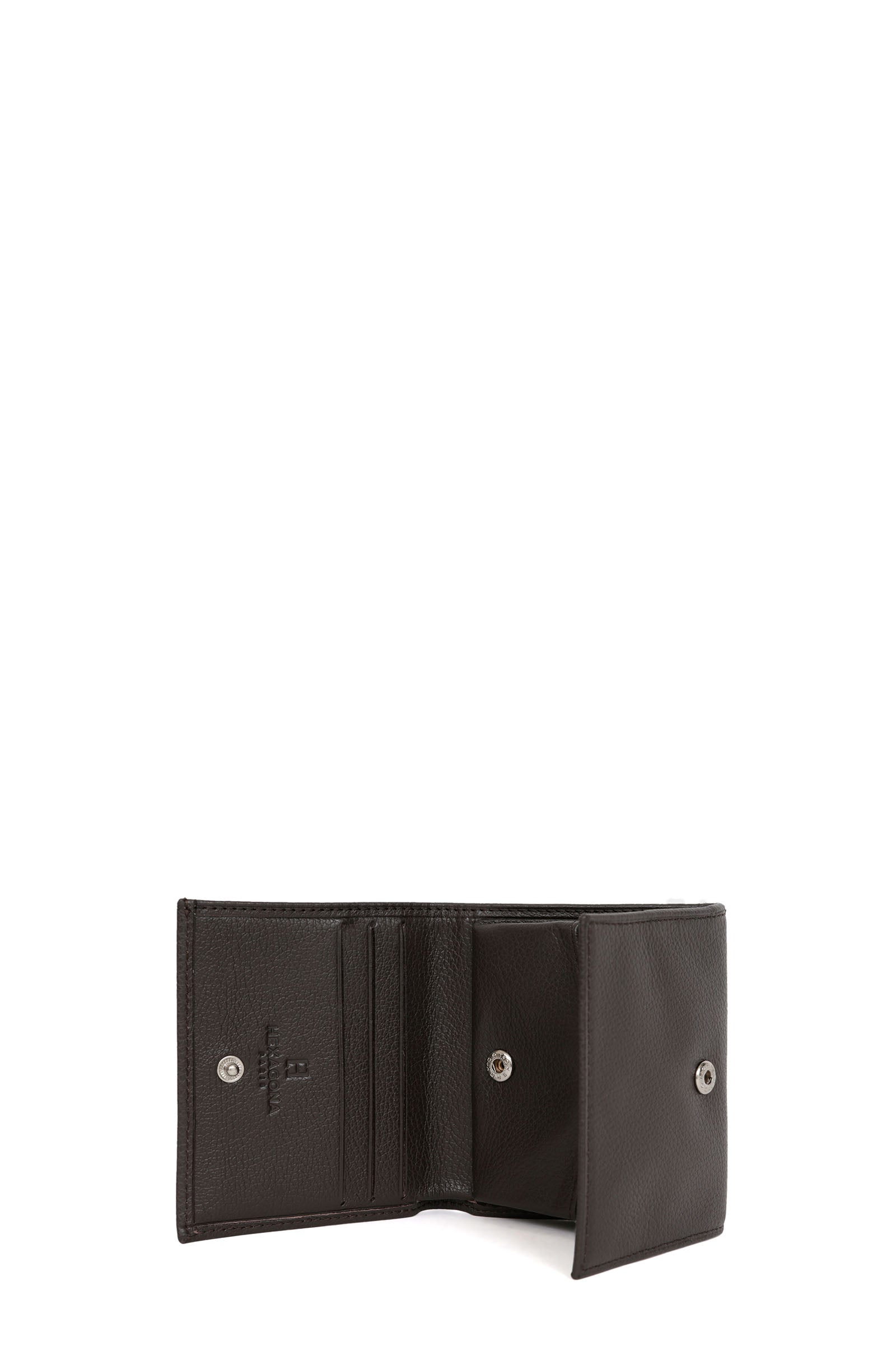 #couleur_marron-foncé