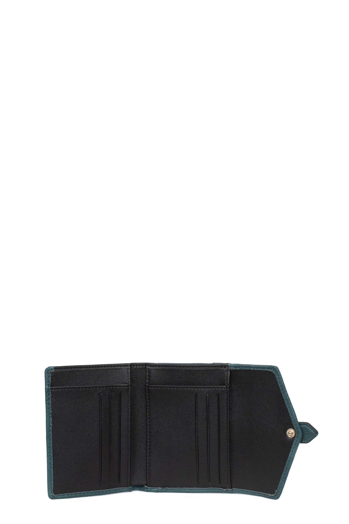 #couleur_bleu-pétrole