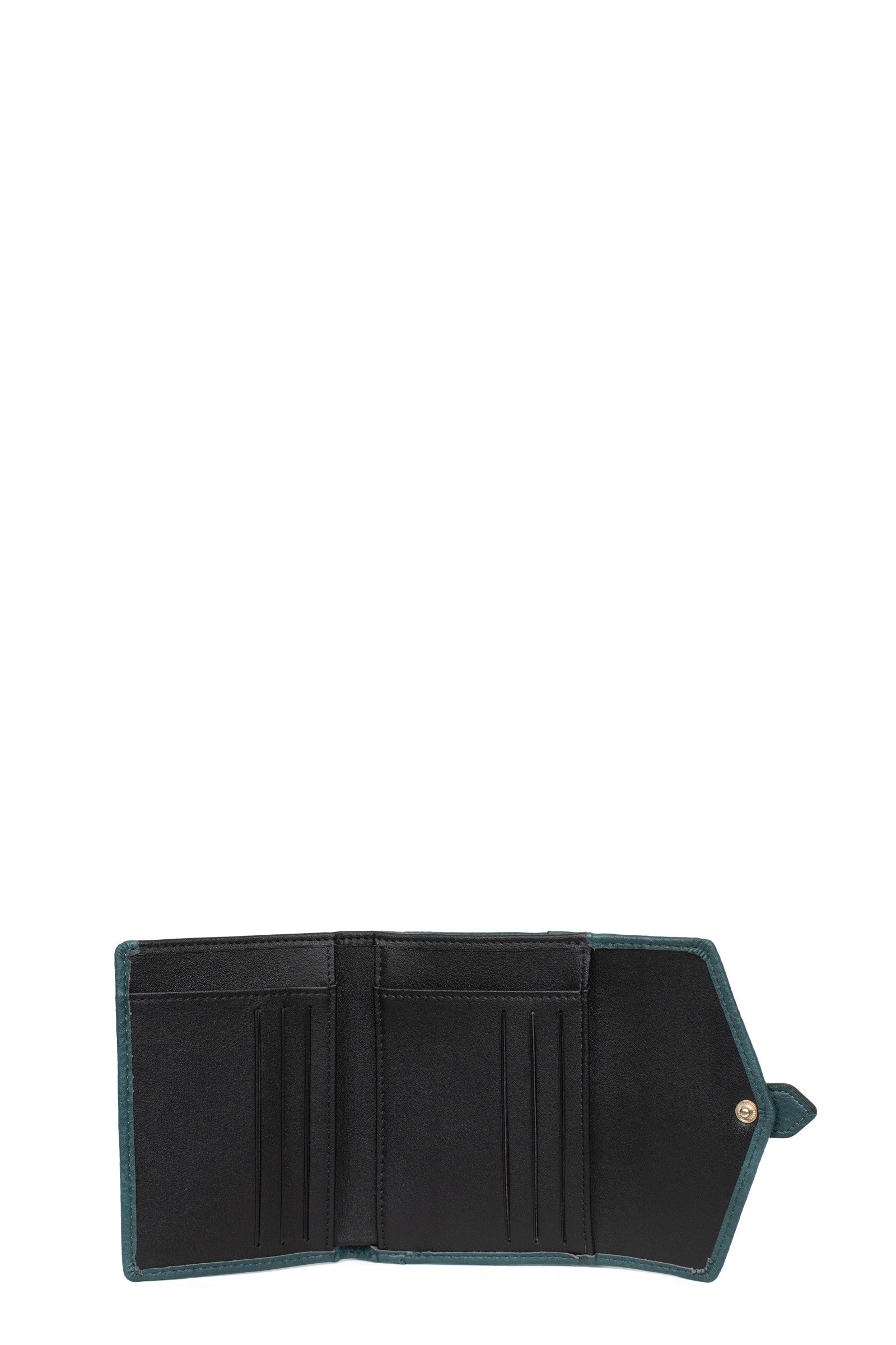 #couleur_bleu-pétrole