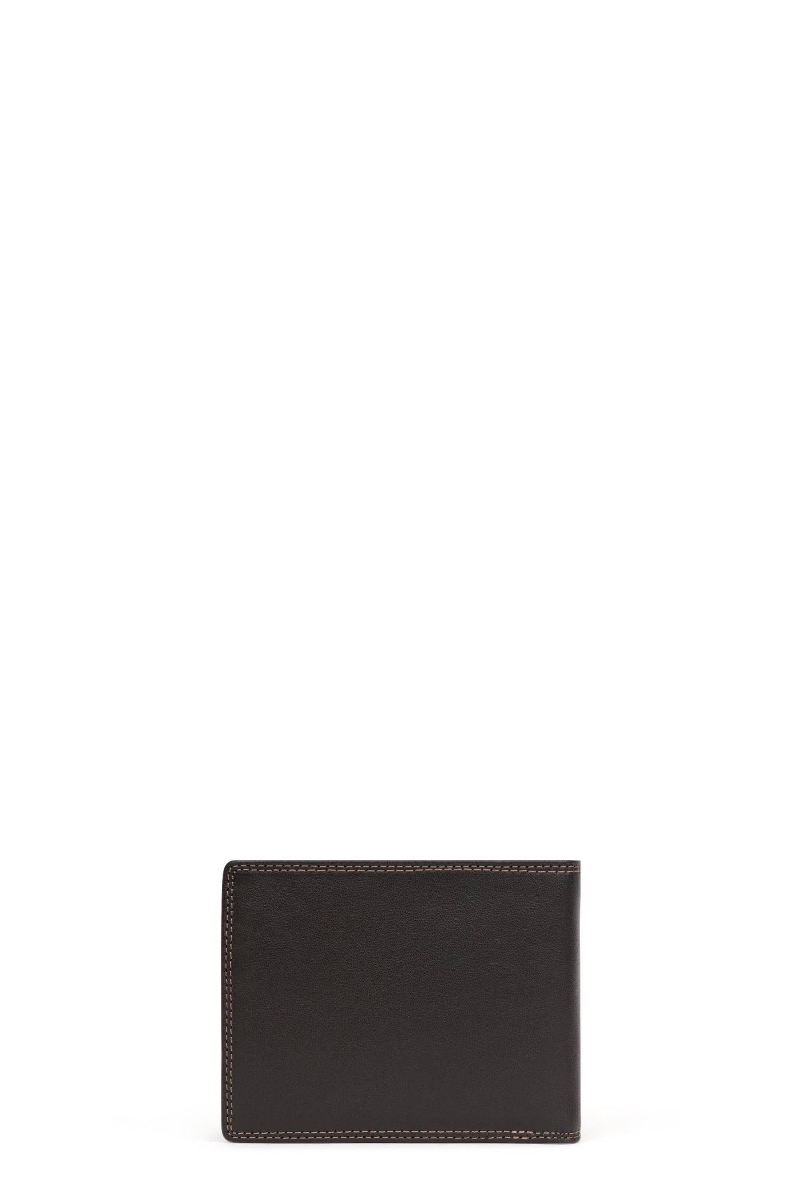 #couleur_marron-foncé